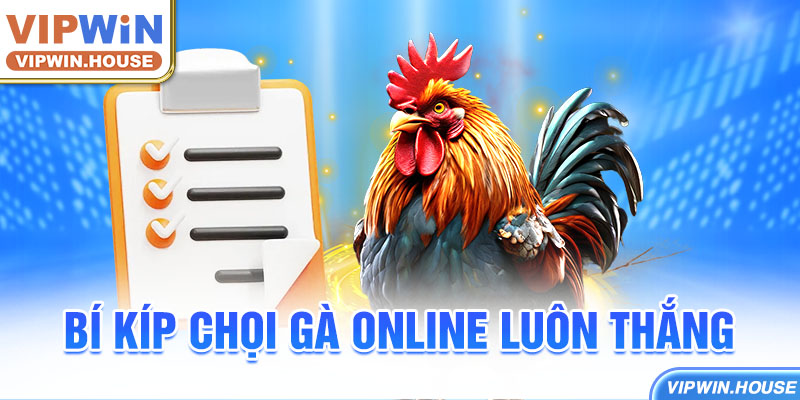 Bí kíp chọi gà online luôn thắng