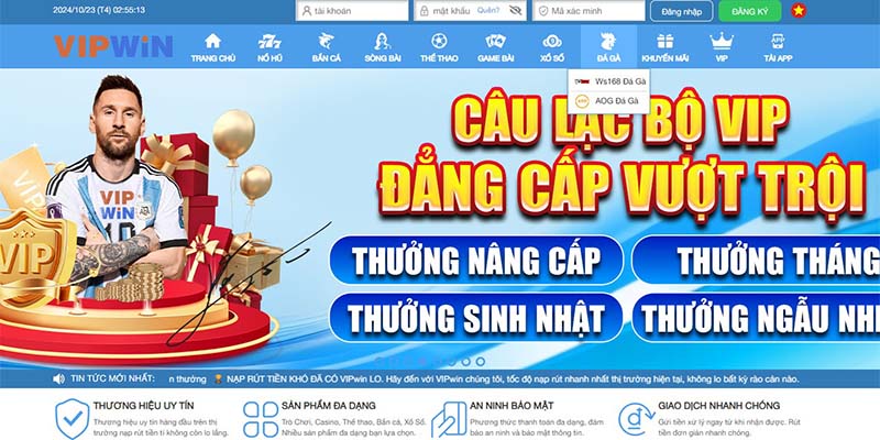 Thông tin giới thiệu chuyên mục cá cược đá gà VIPWIN chi tiết