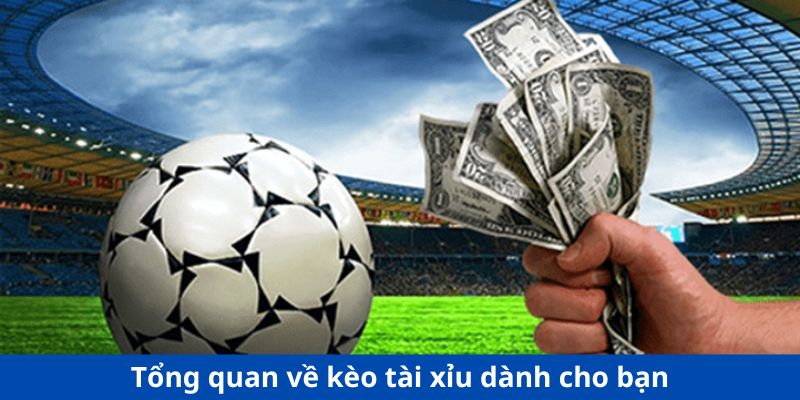 Tổng quan về kèo tài xỉu dành cho bạn