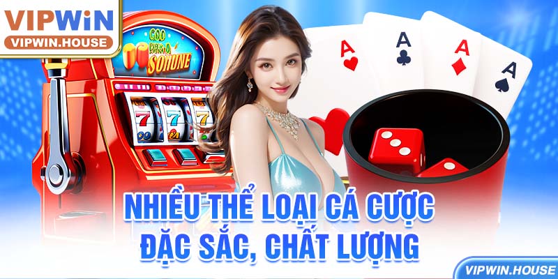 Nhiều thể loại cá cược đặc sắc, chất lượng