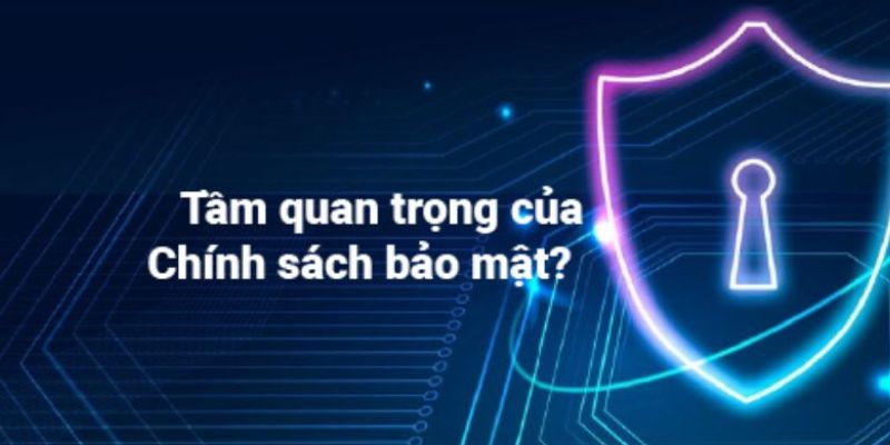 Quyền và nghĩa vụ của game thủ với chính sách bảo mật 